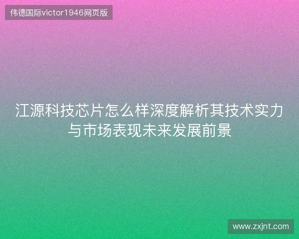 江源科技芯片怎么样深度解析其技术实力与市场表现未来发展前景